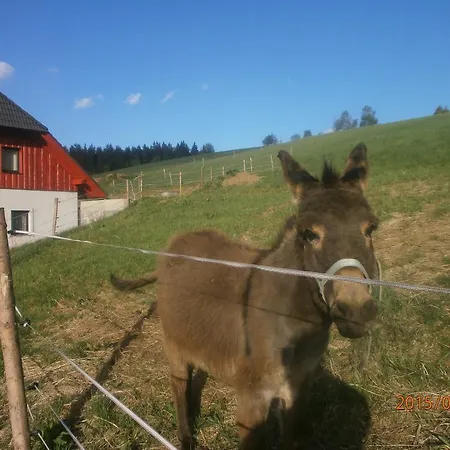Pensión U Oslíka 3*
